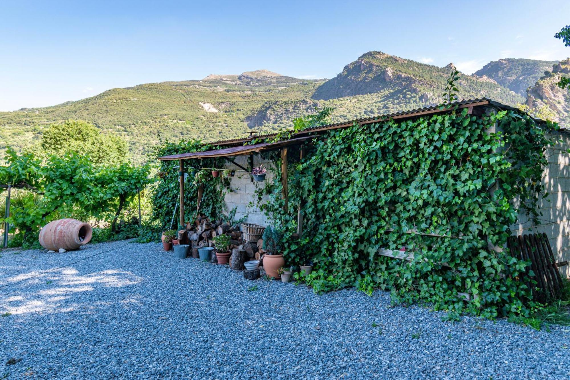 Casa Rural Olivillas Garden-Sierra Nevada グエハル・シエラ エクステリア 写真